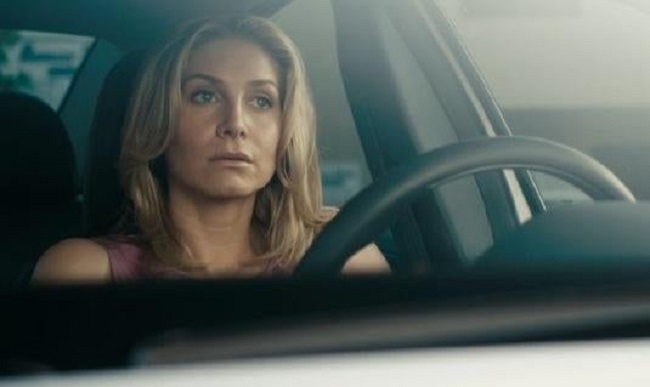 Elizabeth Mitchell Net Worth, salary and Earnings