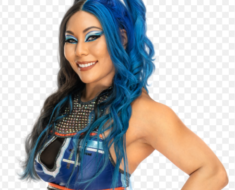 Mia Yim's Net Worth and Biography