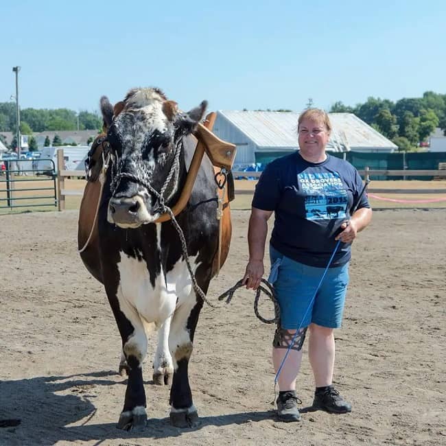 Dr. Brenda Grettenberger's Horse