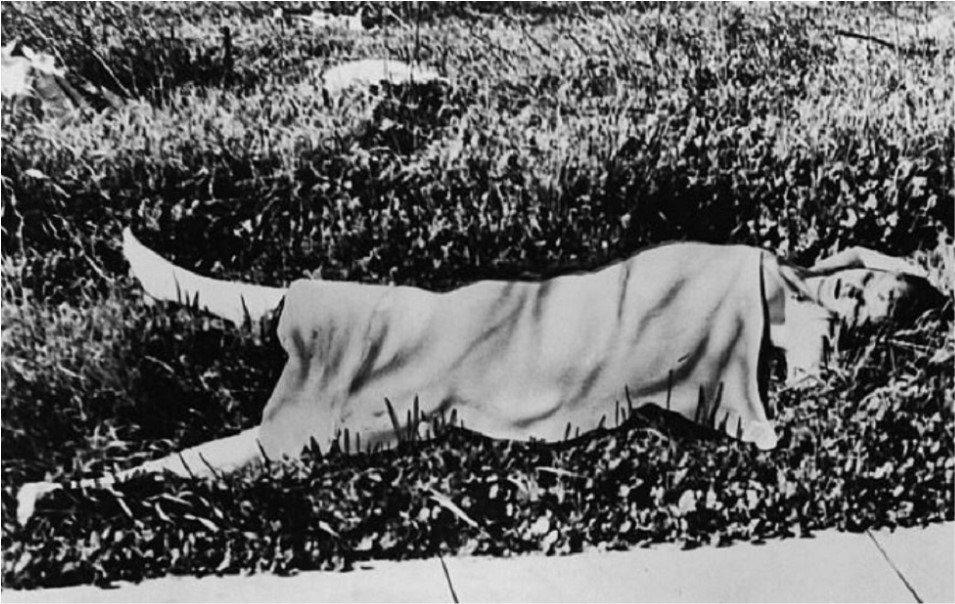 The Black Dahlia's Death Cause