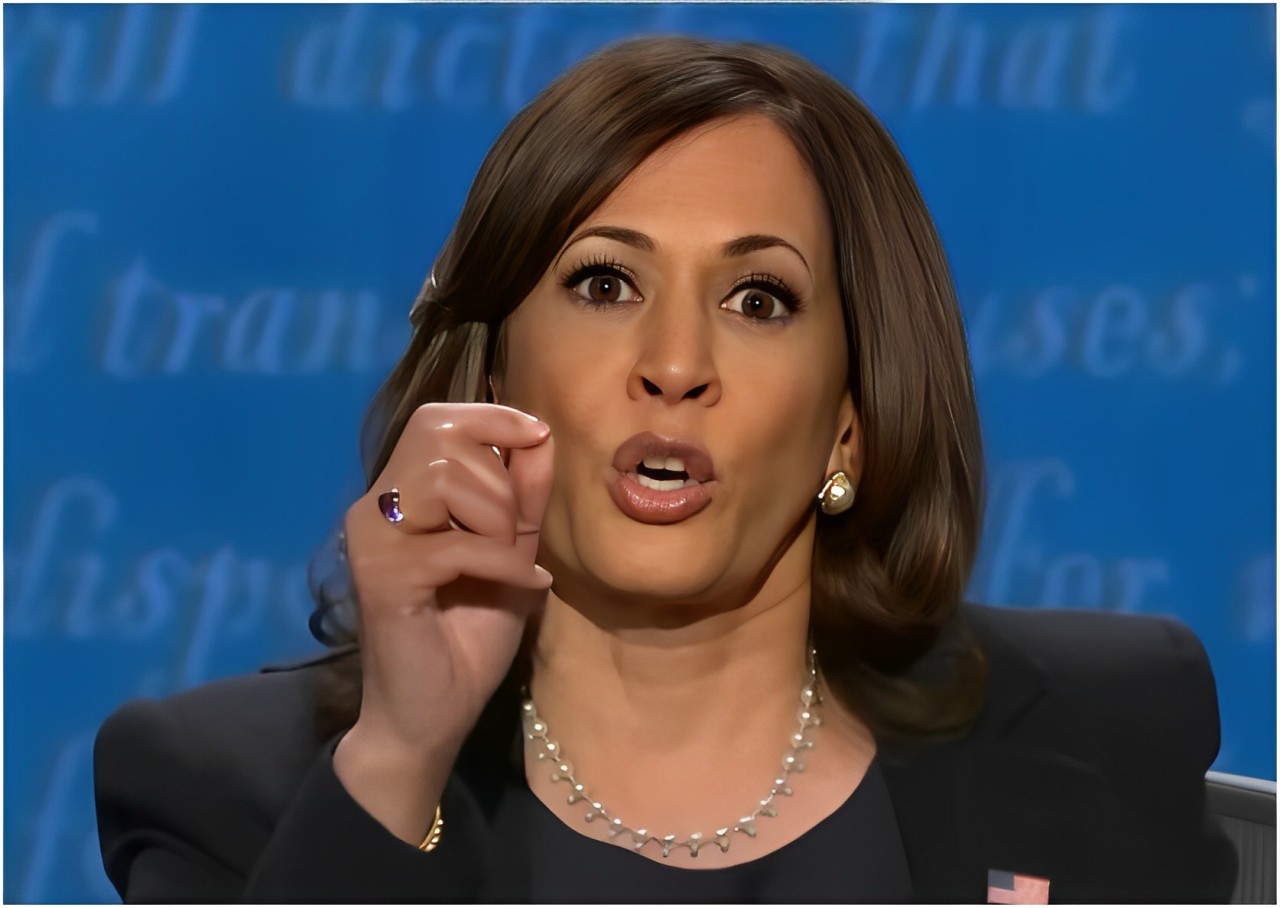 Kamala Harris August 2024 Luisa